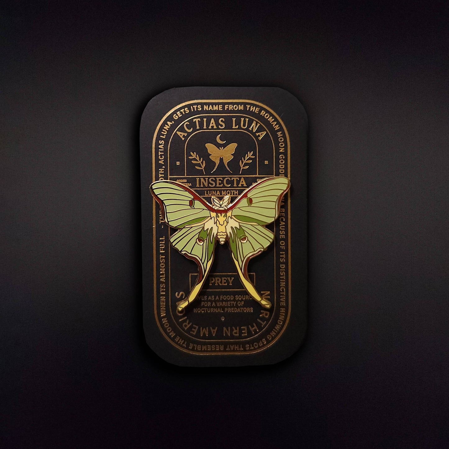 Luna Moth Educational Insect Enamel Pin