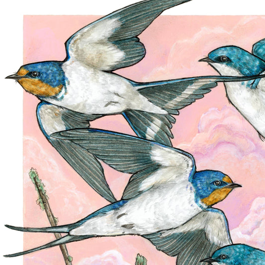 A Flight of Swallows - Archival Print