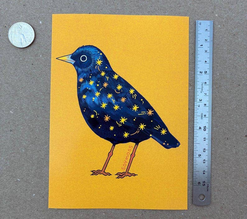 Starling Art Print