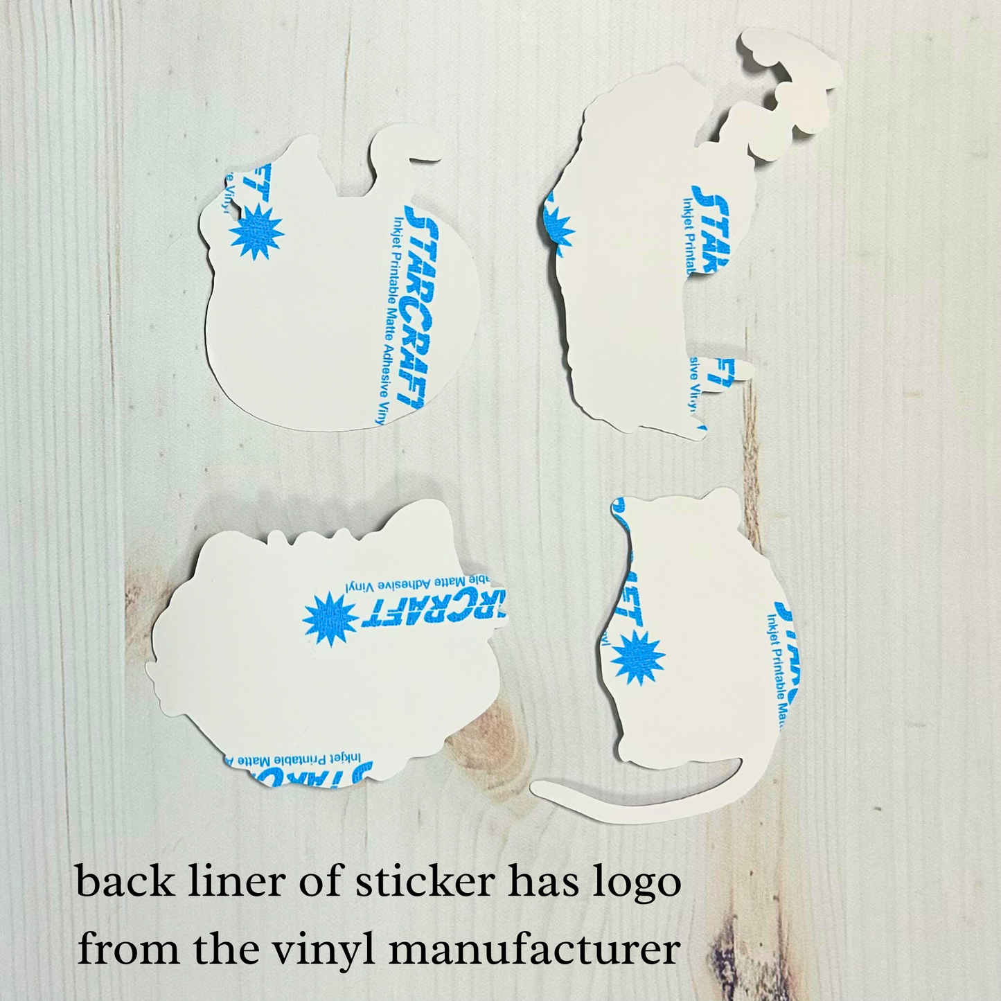 Beer Squirrel Vinyl Sticker