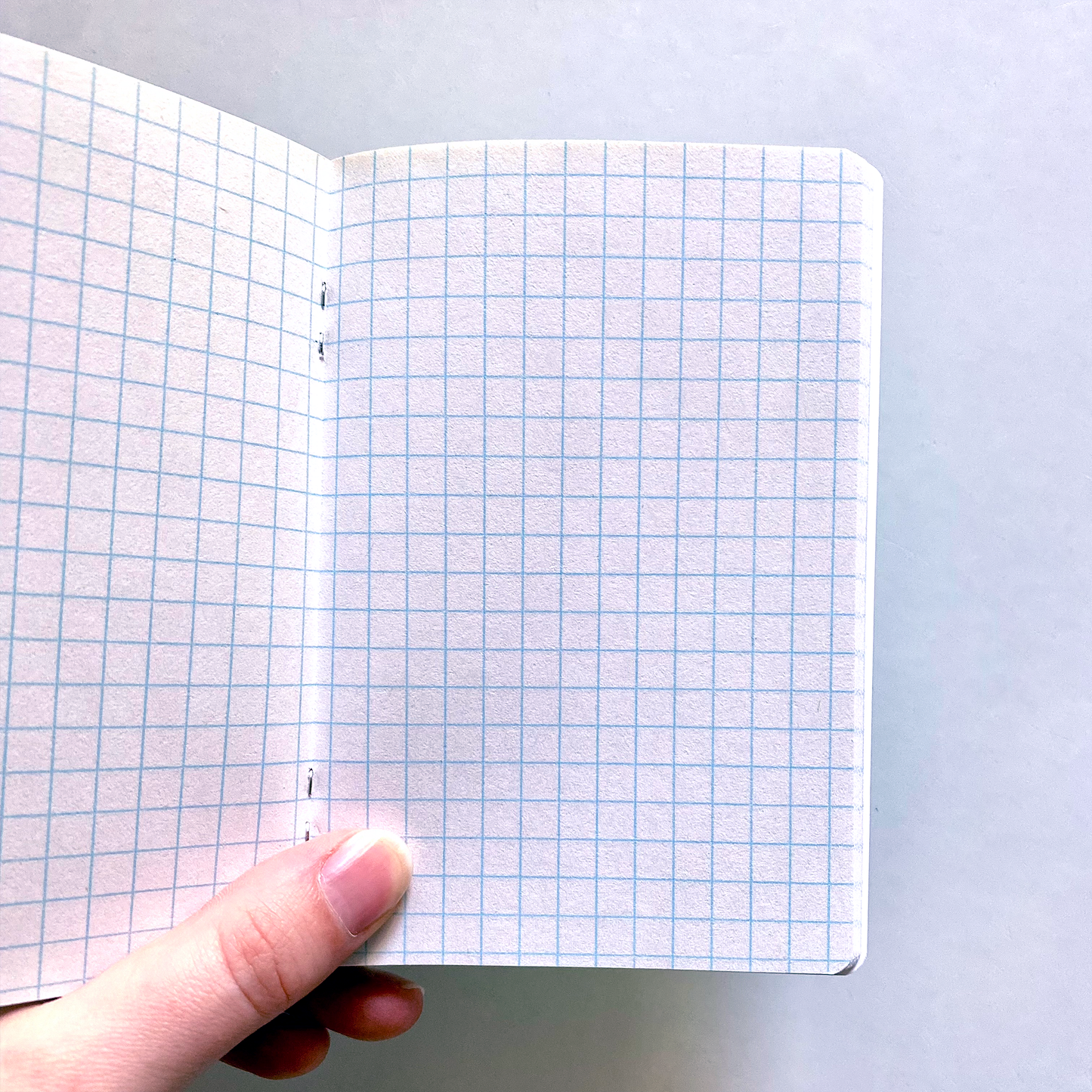 Paws-itively Intrigued Pocket Notebook