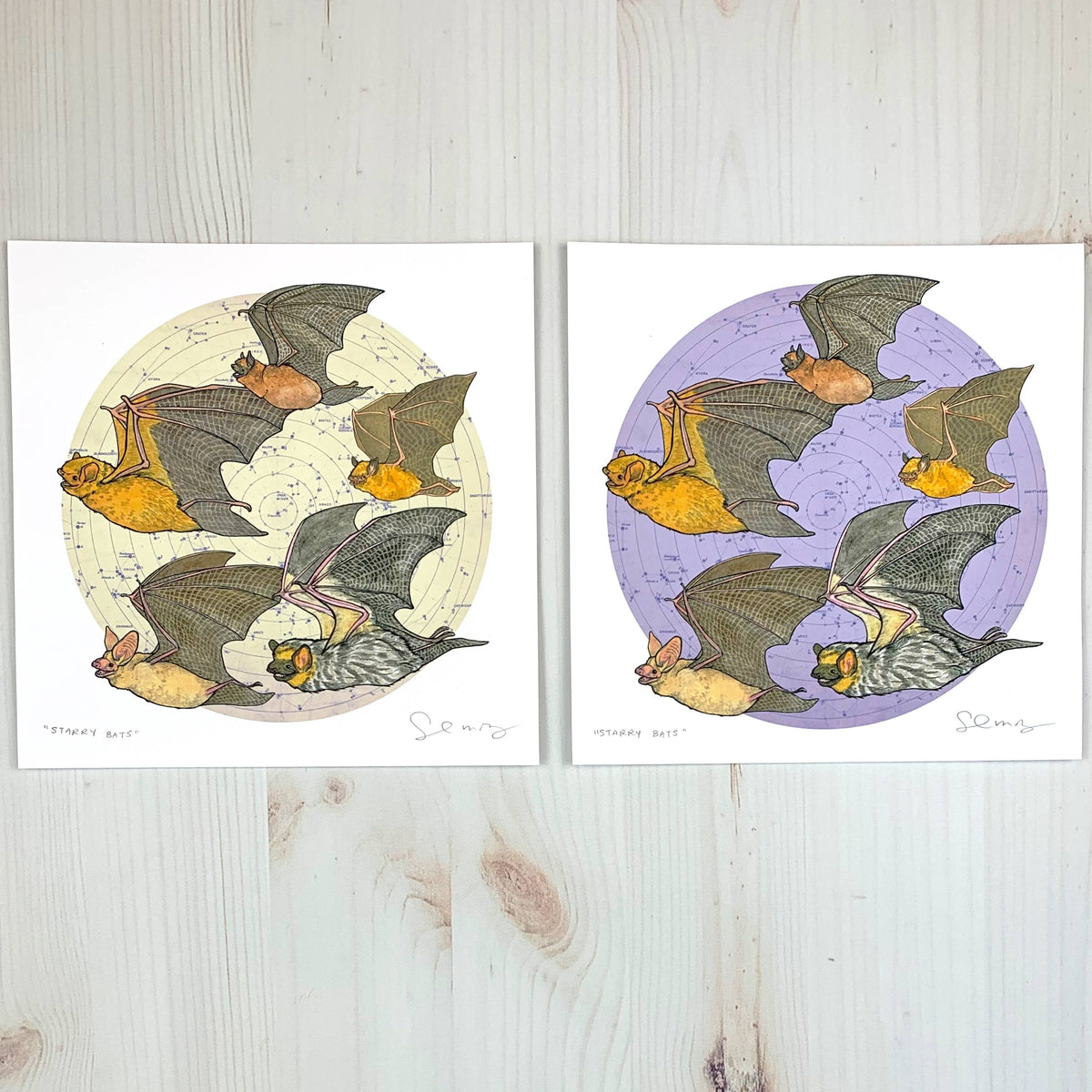 Starry Bats - North American Native Bats - Archival Print
