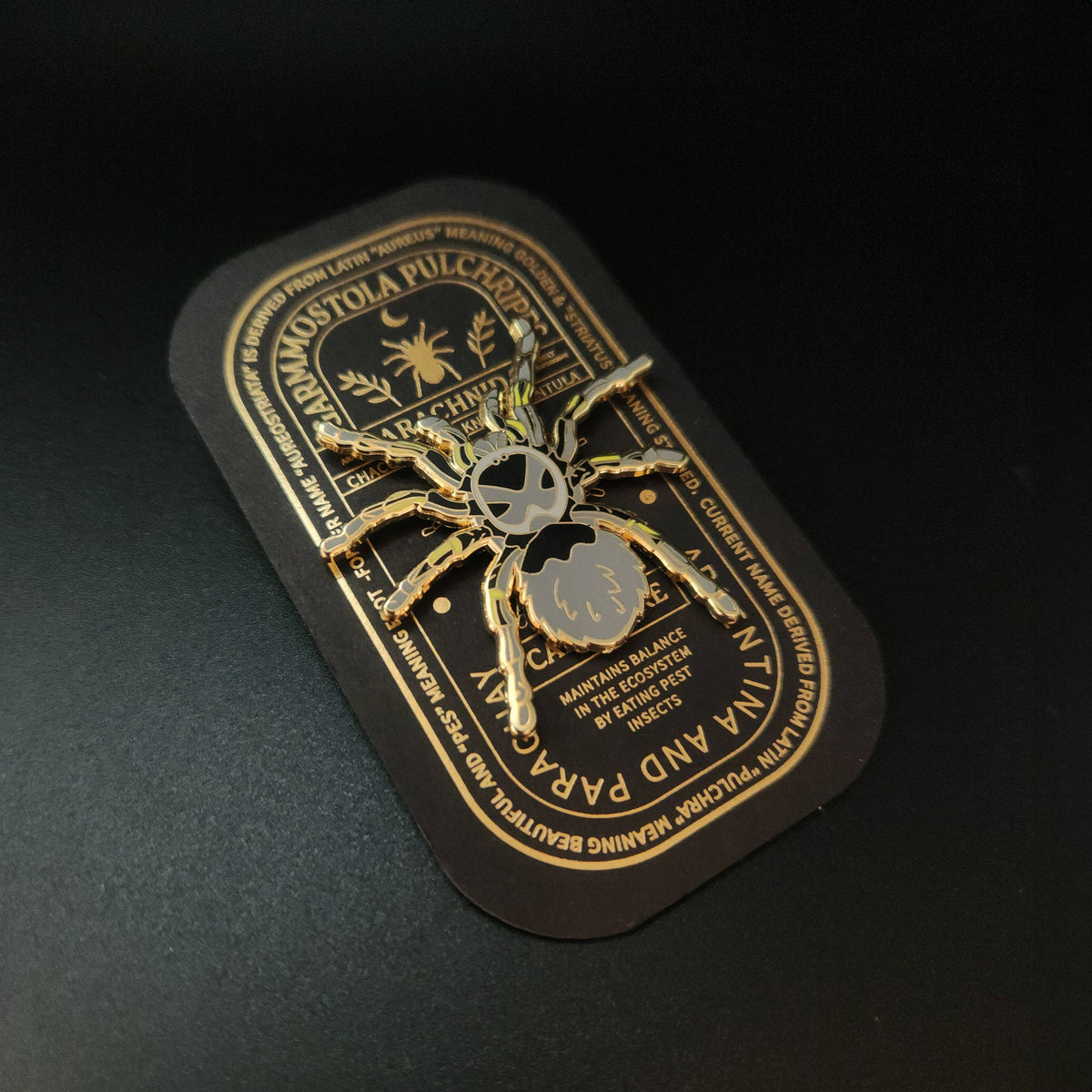 Chaco Golden Knee Tarantula Educational Insect Enamel Pin