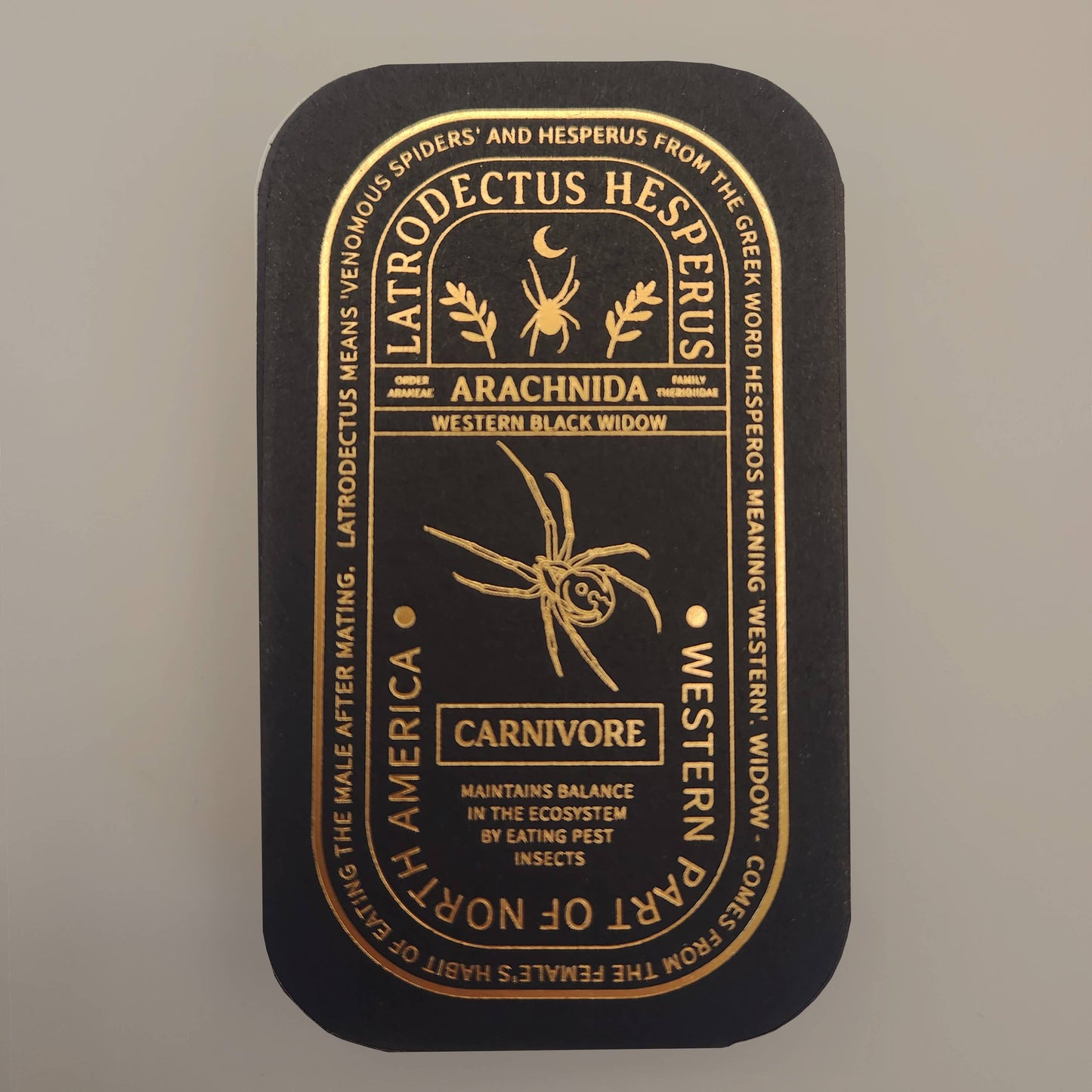 Western Black Widow Educational Arachnid Enamel Pin