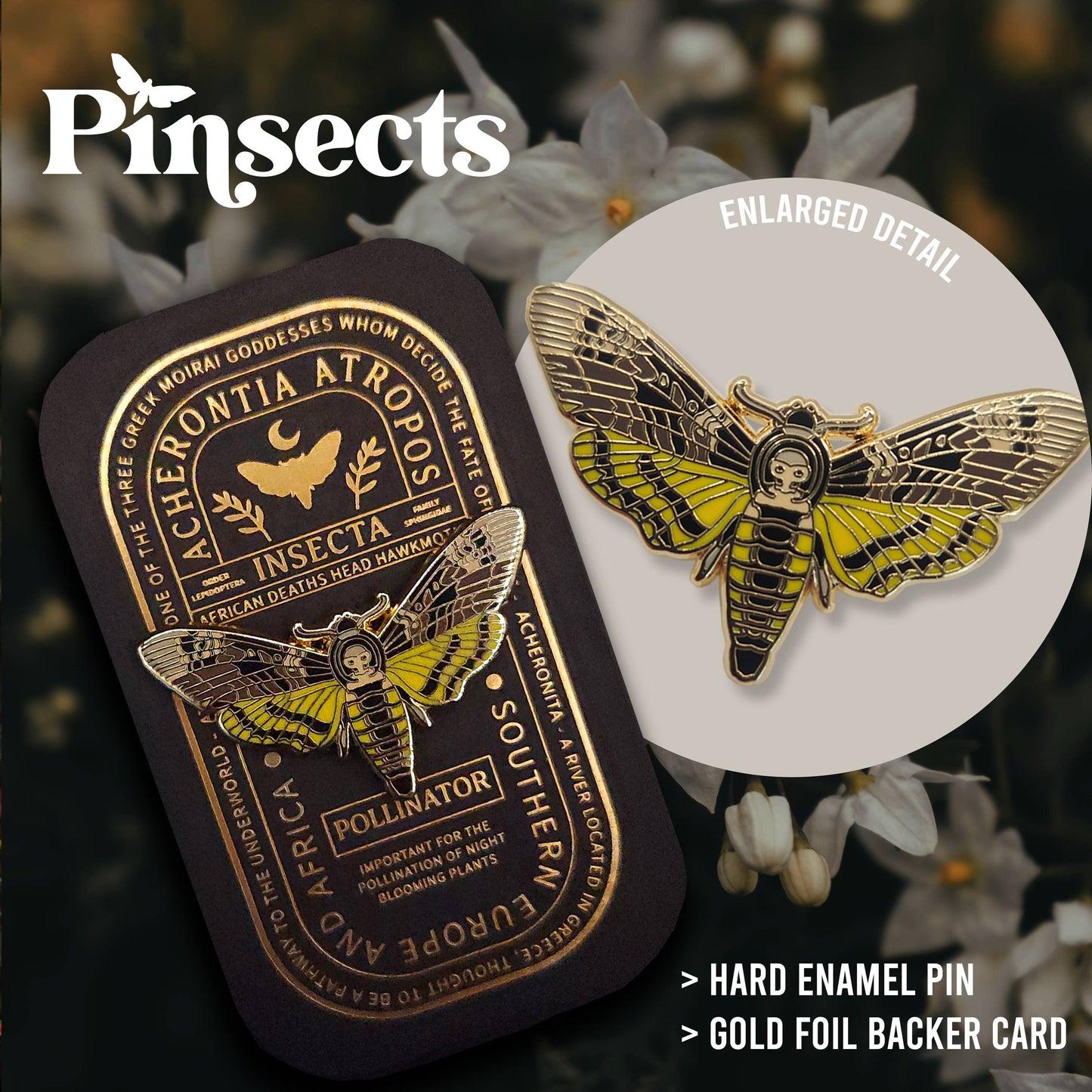 African Deaths Head Hawkmoth Educational Insect Enamel Pin