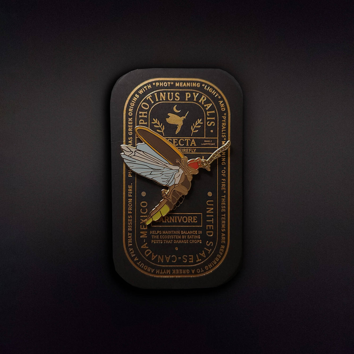 Eastern Firefly Educational Insect Enamel Pin
