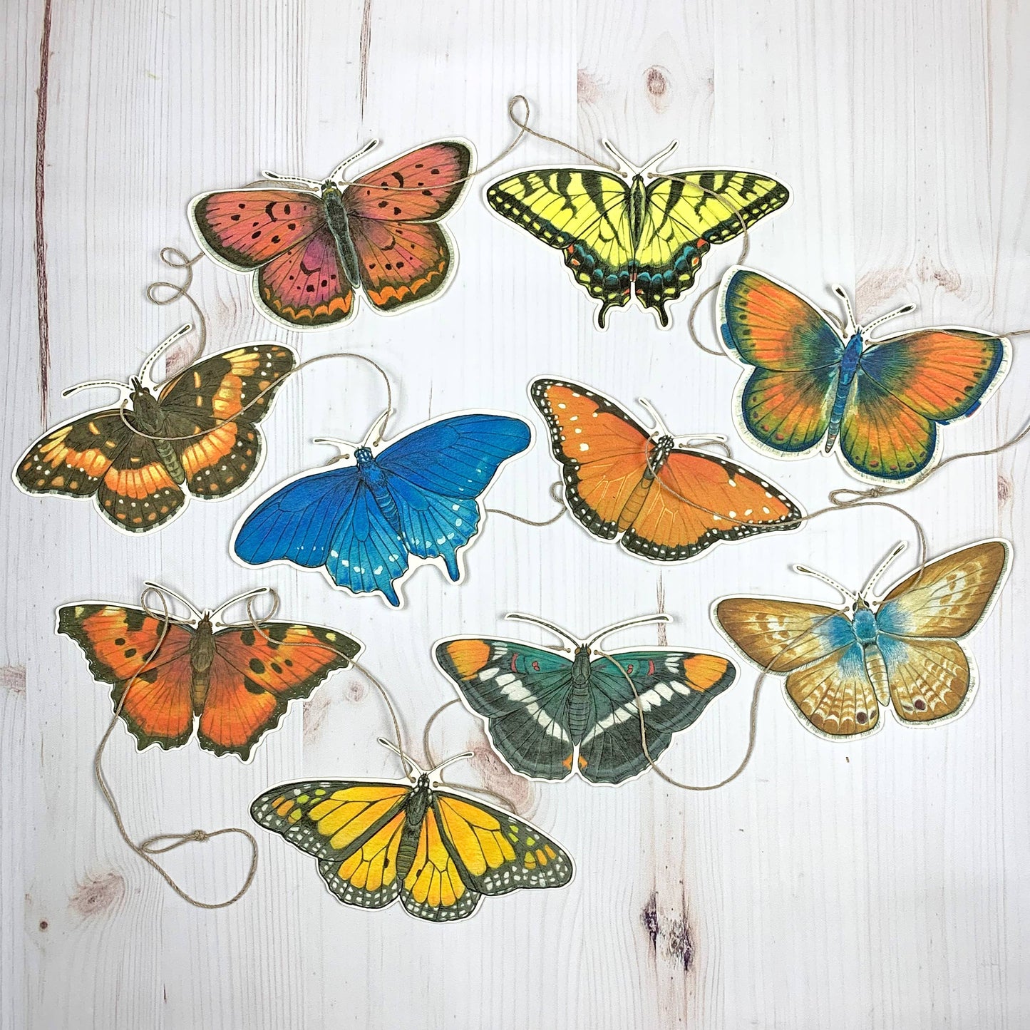 Western U.S. Native Butterfly Illustrated Garland