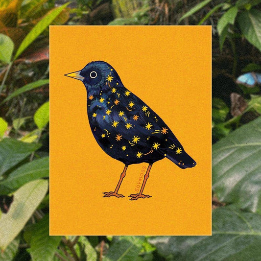 Starling Art Print