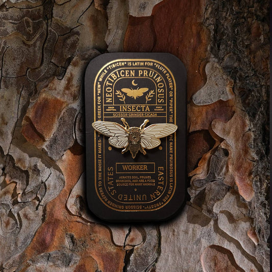 Scissor Grinder Cicada  Educational Insect Enamel Pin