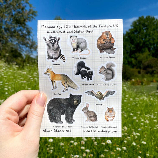 Mammalogy 101: Mammals of the Eastern US A6 Weatherproof Vinyl Sticker Sheet (4.1" x 5.8")