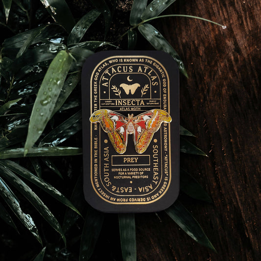 Atlas Moth Educational Insect Enamel Pin