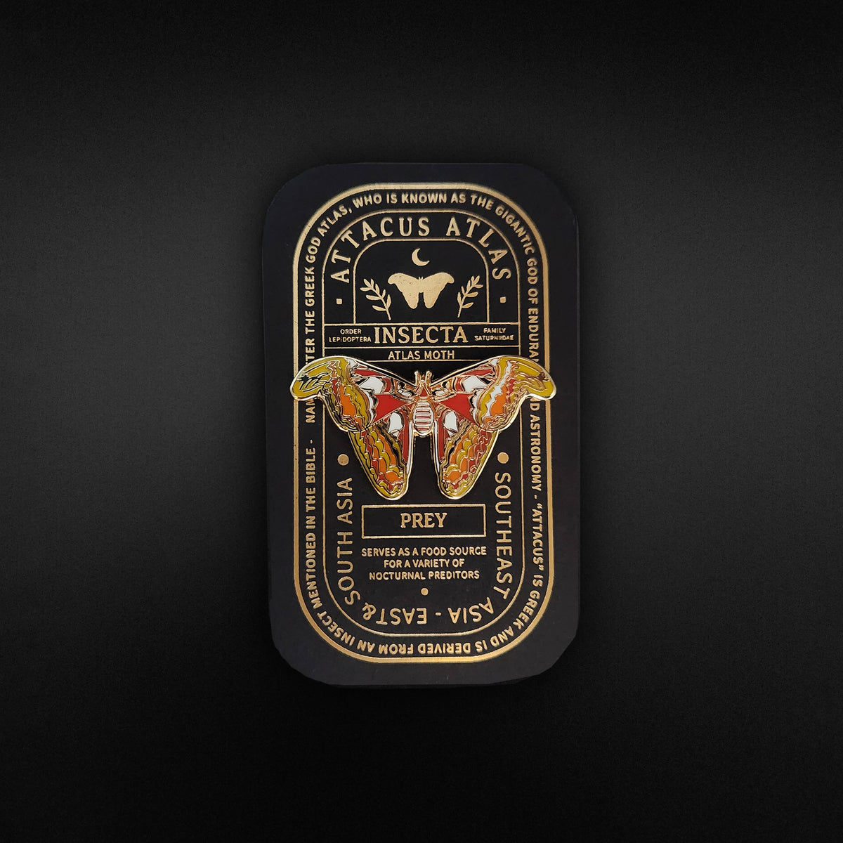 Atlas Moth Educational Insect Enamel Pin
