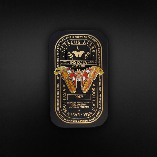 Atlas Moth Educational Insect Enamel Pin