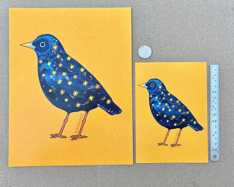 Starling Art Print