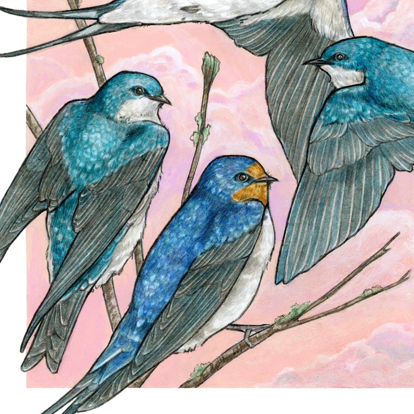 A Flight of Swallows - Archival Print
