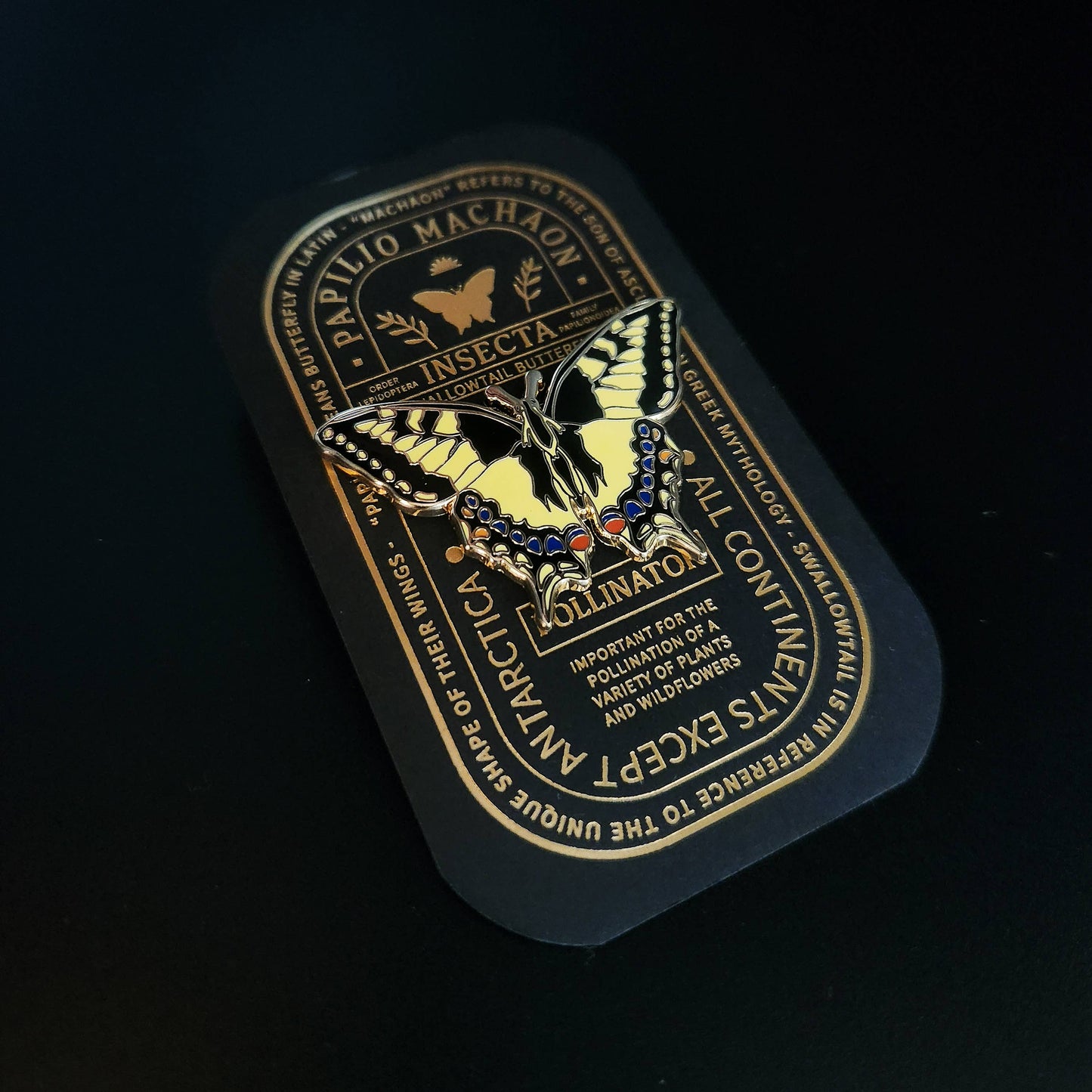 Swallowtail Butterfly Educational Insect Enamel Pin