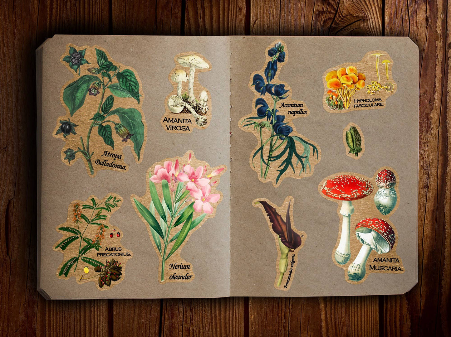 Poisonous Plants Sticker Sheet - Vintage Botany Mushroom