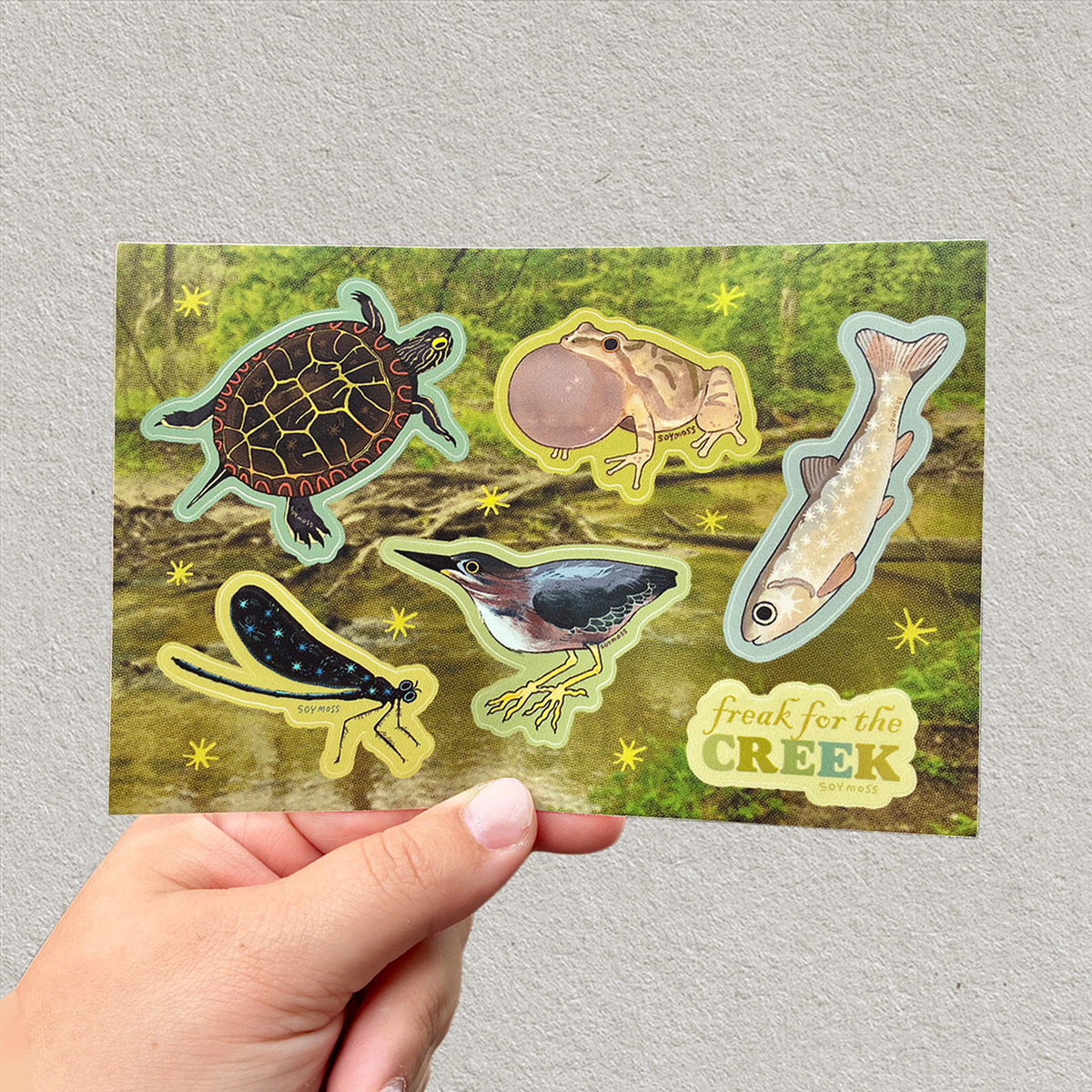 Freak for the Creek Sticker Sheet