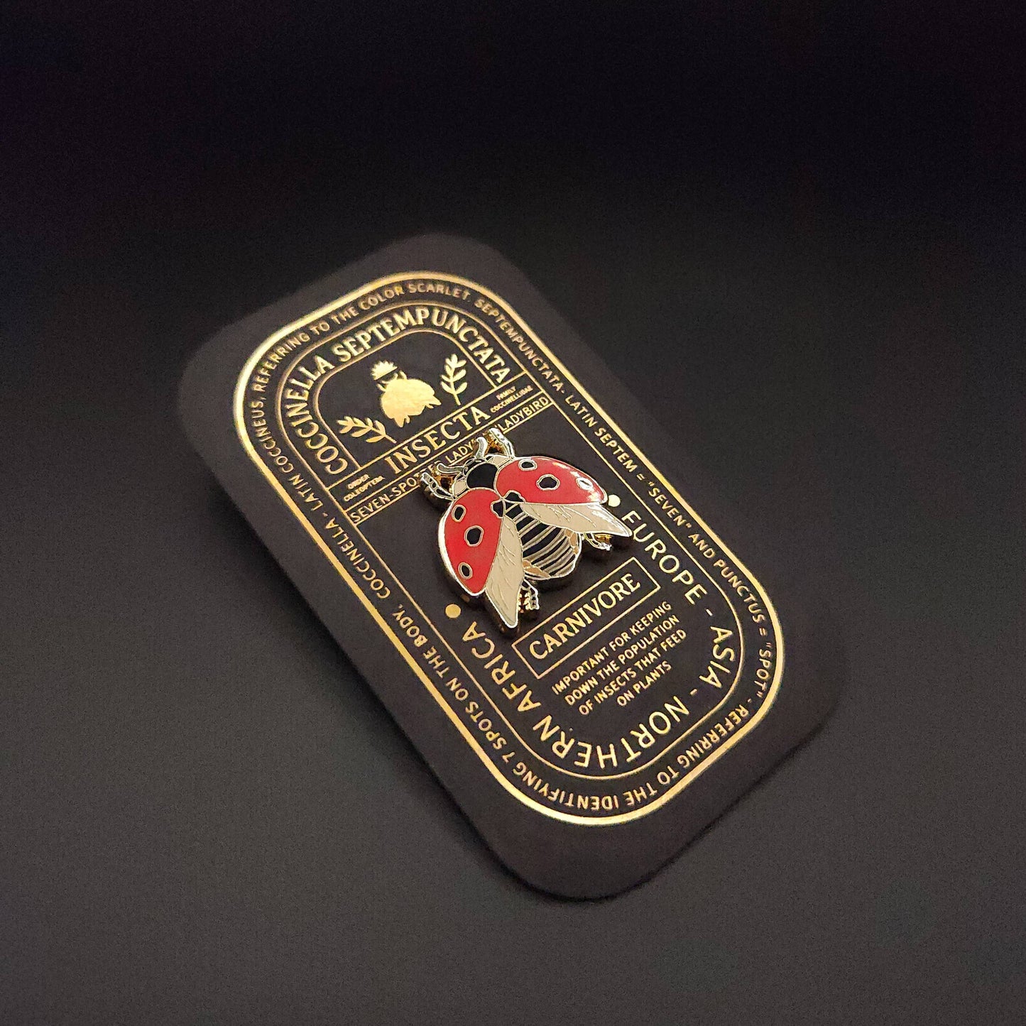 Seven-Spotted Ladybug Educational Insect Enamel Pin