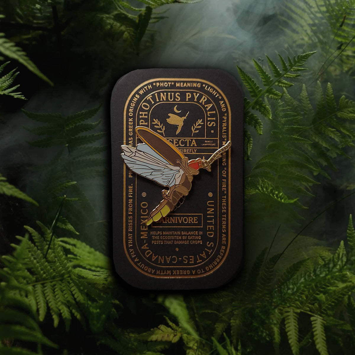 Eastern Firefly Educational Insect Enamel Pin