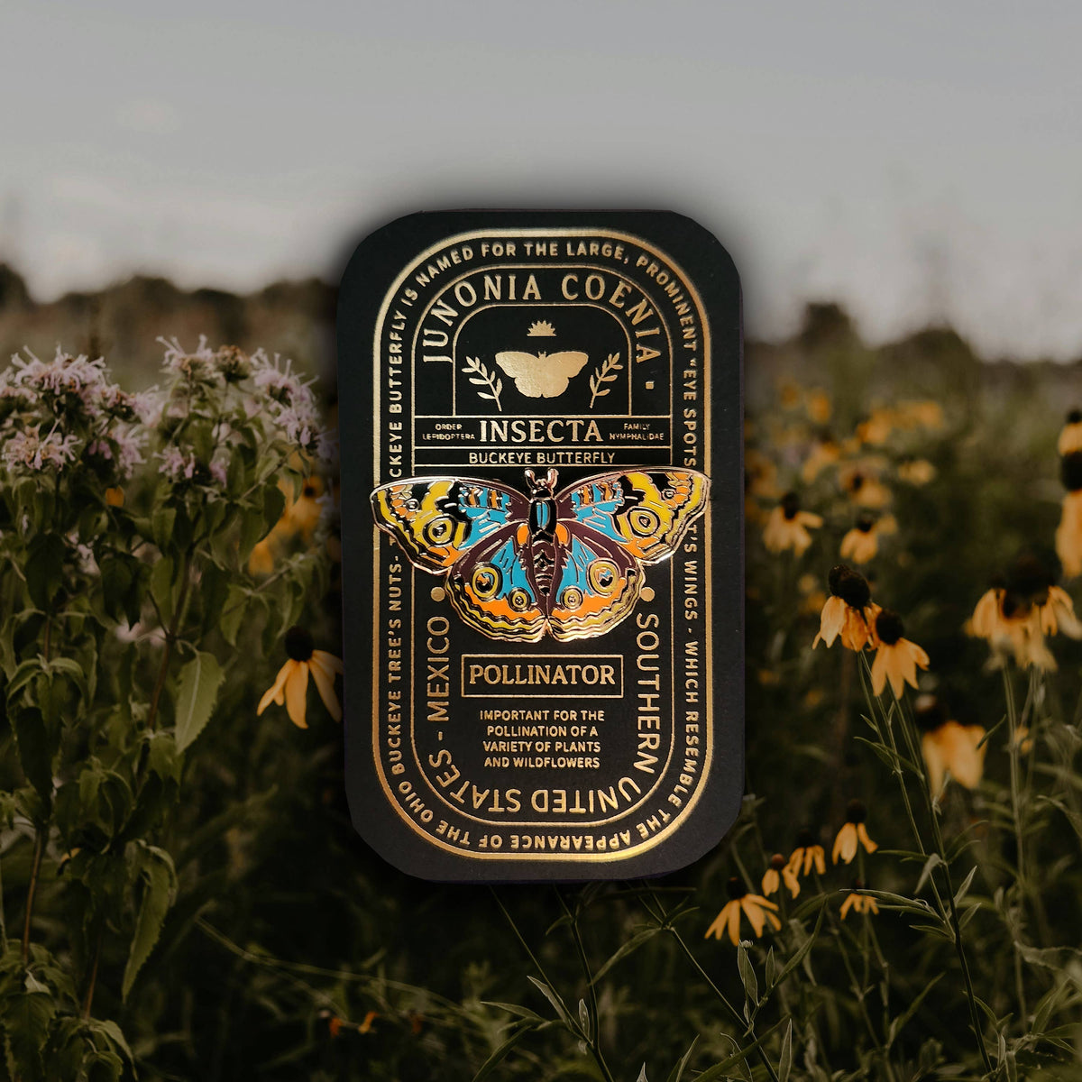 Buckeye Butterfly Educational Insect Enamel Pin