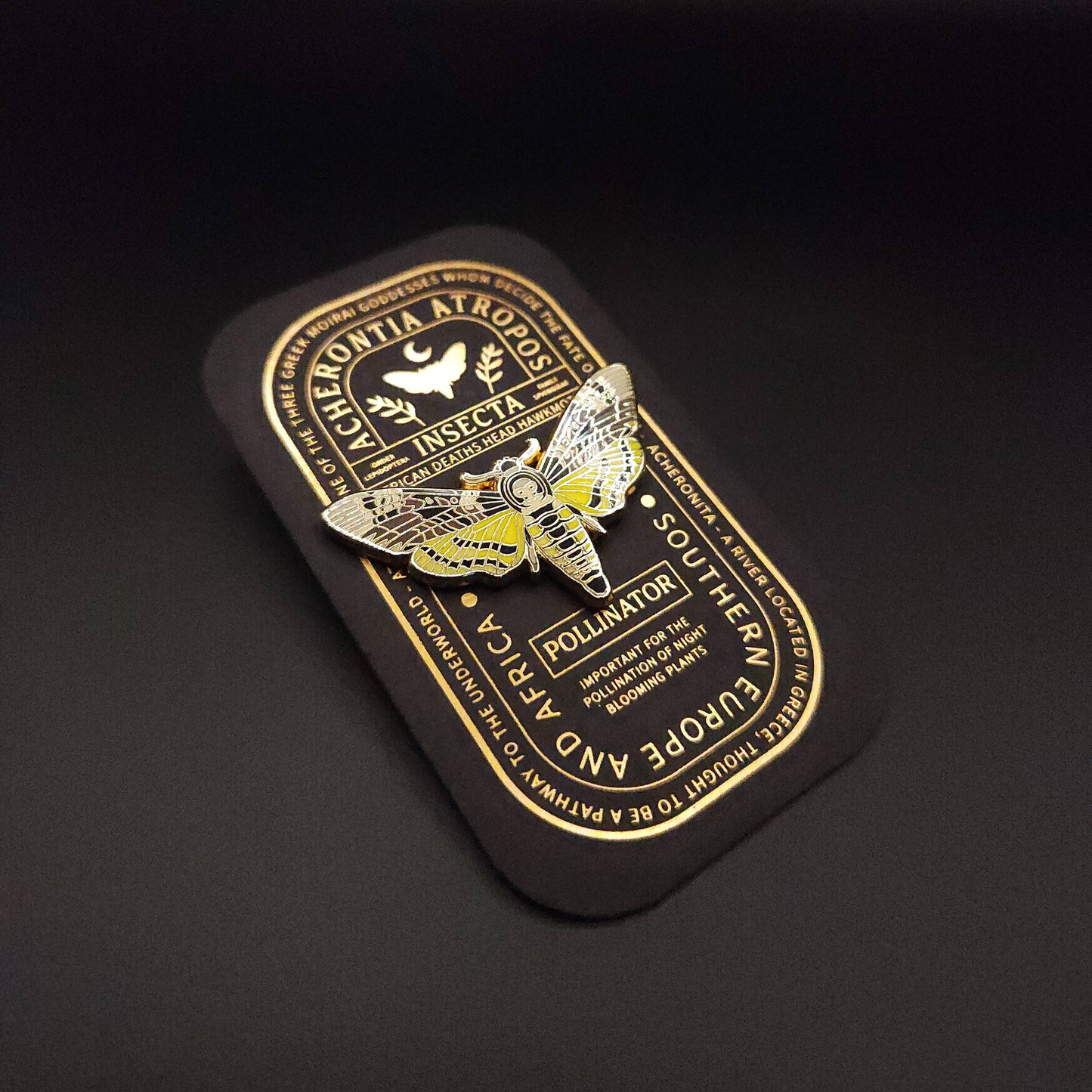 African Deaths Head Hawkmoth Educational Insect Enamel Pin