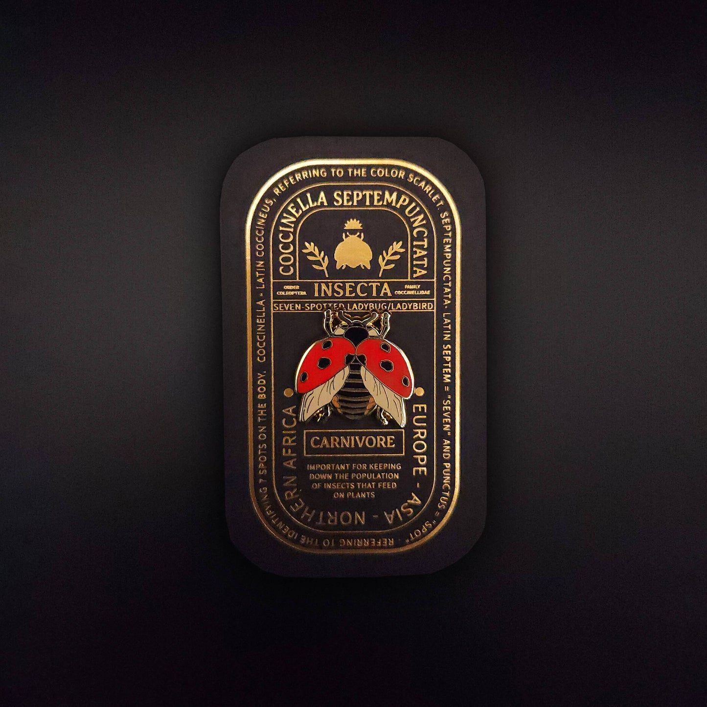 Seven-Spotted Ladybug Educational Insect Enamel Pin