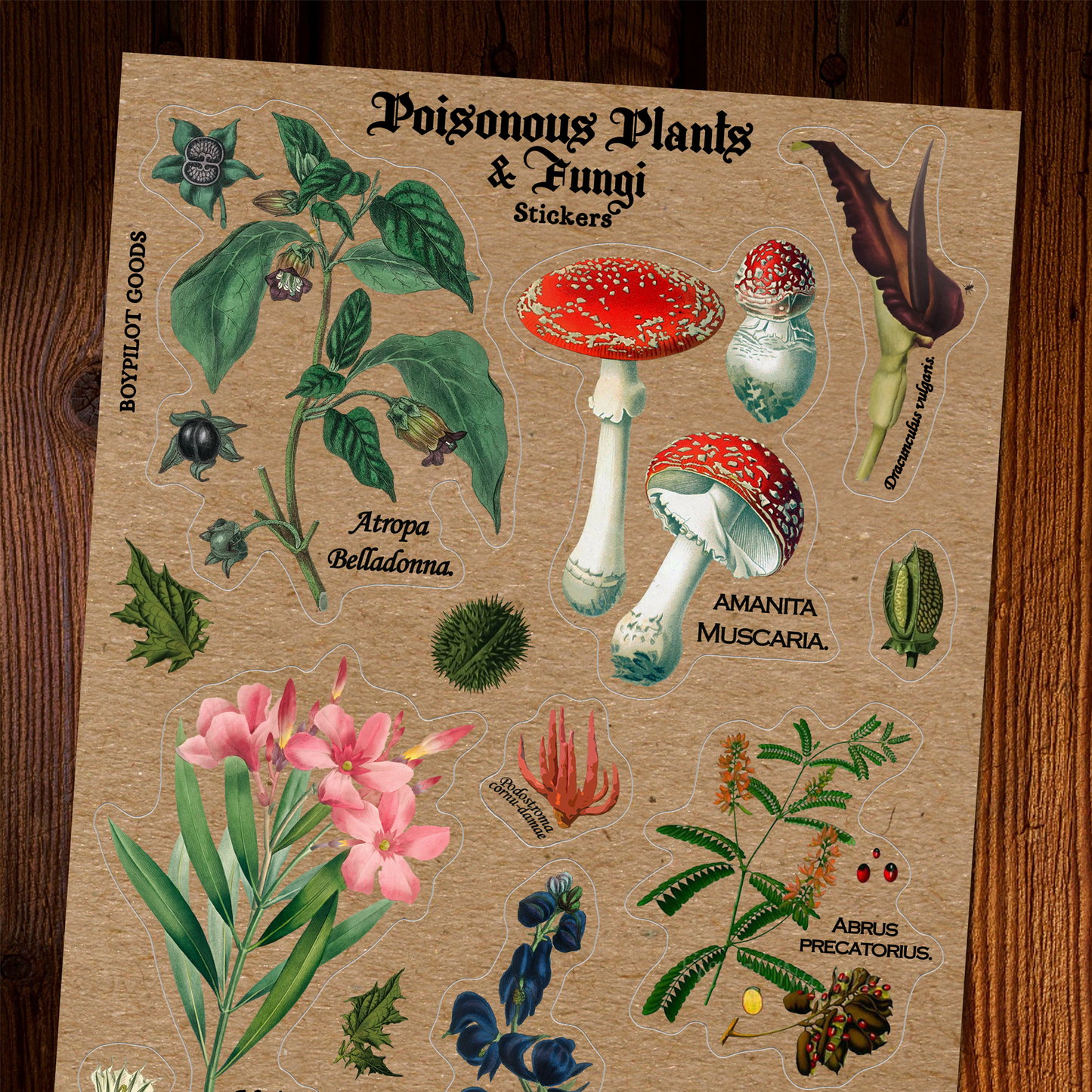 Poisonous Plants Sticker Sheet - Vintage Botany Mushroom