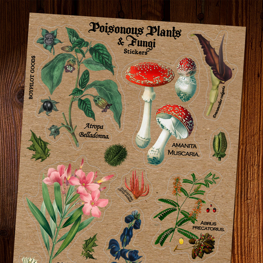 Poisonous Plants Sticker Sheet - Vintage Botany Mushroom
