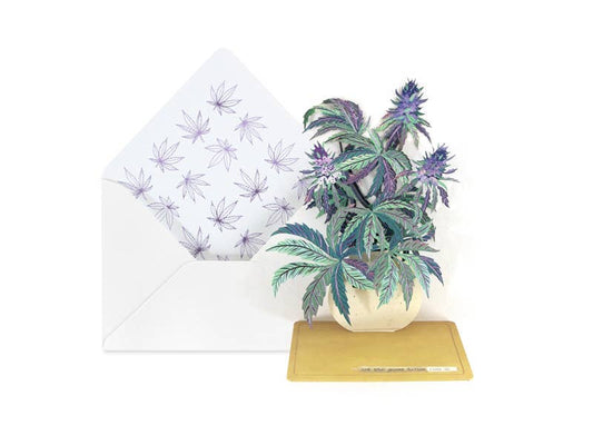 Herb Bouquet Pop-Up Card