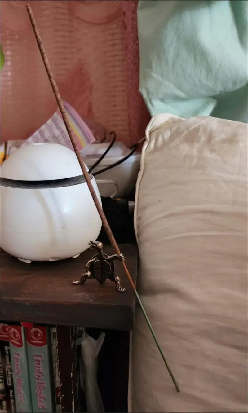 Kung Fu Turtle Incense Holder Bronze/Copper Unique Piece