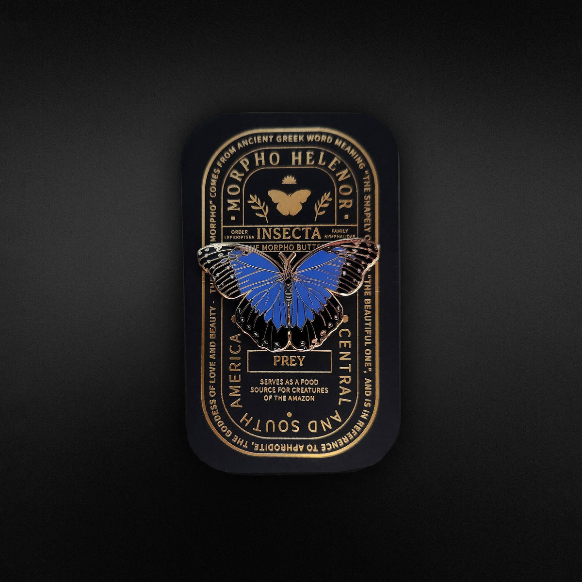 Blue Morpho Butterfly Educational Insect Enamel Pin
