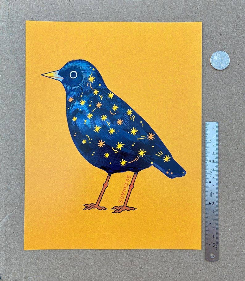 Starling Art Print