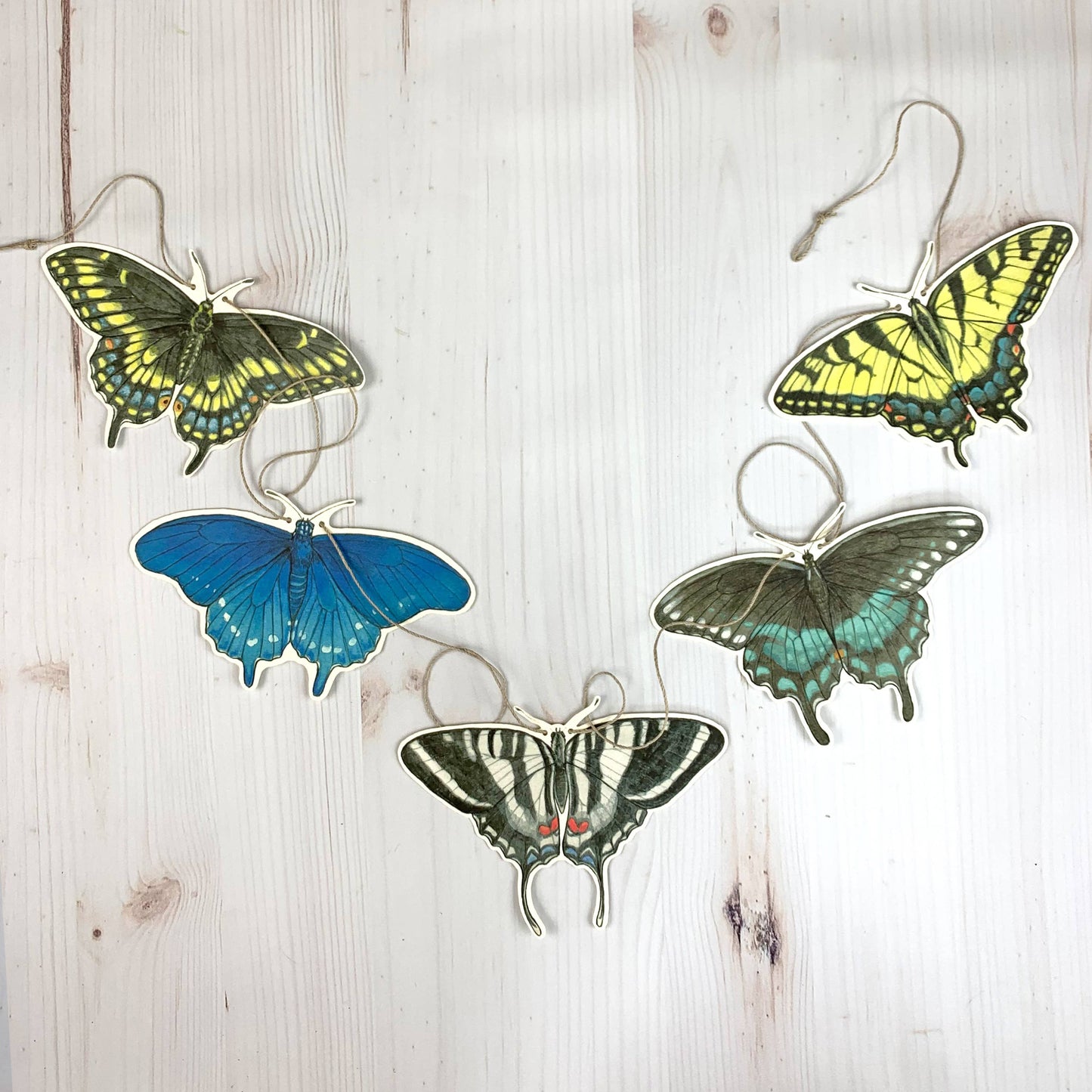 Swallowtail Butterfly Illustrated Garland