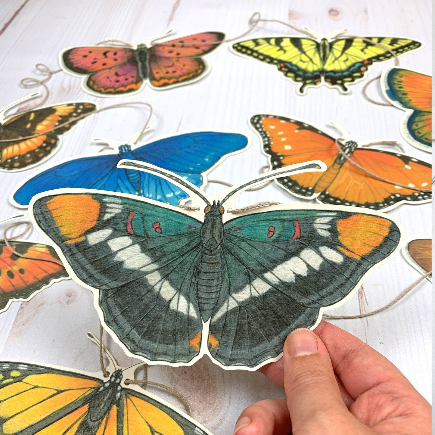Western U.S. Native Butterfly Illustrated Garland