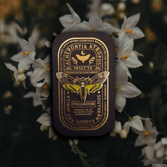 African Deaths Head Hawkmoth Educational Insect Enamel Pin
