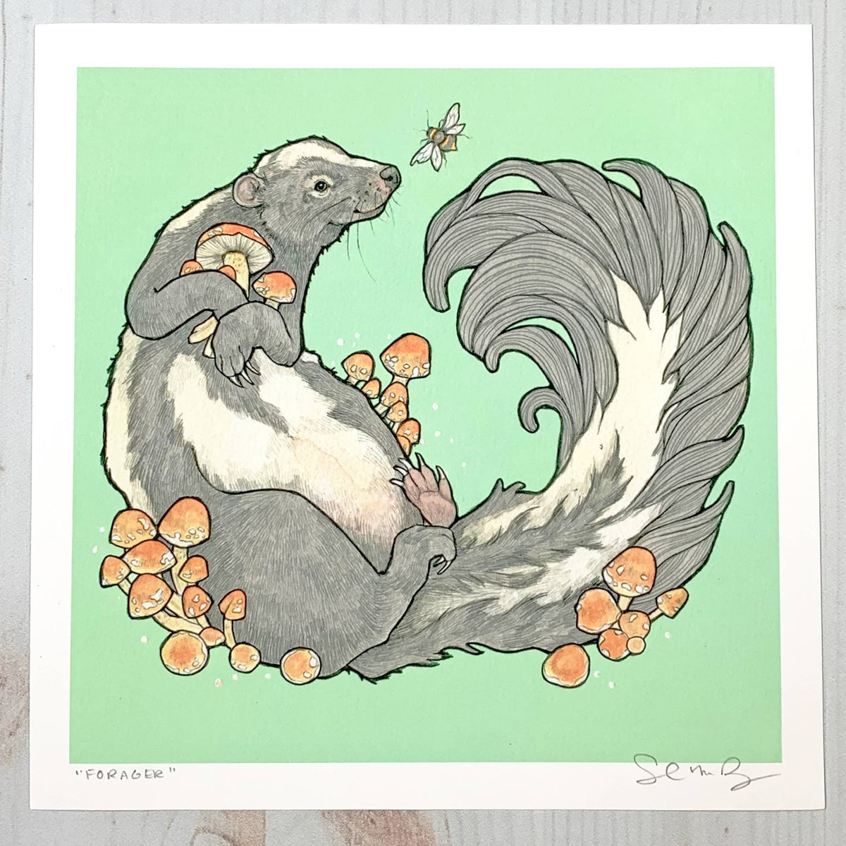 Forager - skunk and mushroom - 8x8 " Archival Print