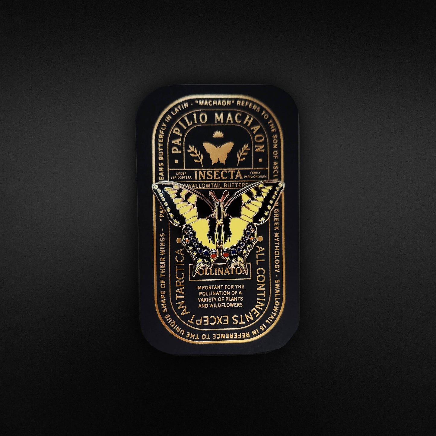 Swallowtail Butterfly Educational Insect Enamel Pin