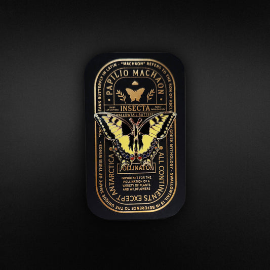 Swallowtail Butterfly Educational Insect Enamel Pin