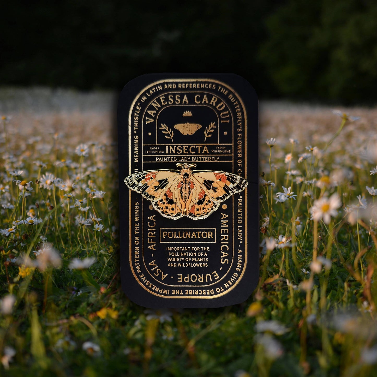 Painted Lady Butterfly Educational Insect Enamel Pin