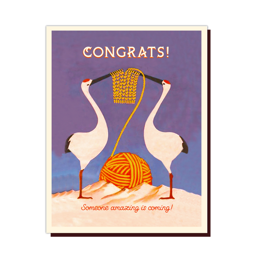 SOMEONE AMAZING COMING baby card