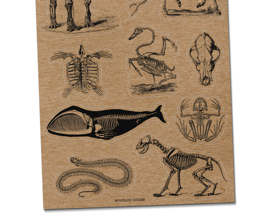 Animal Bones Kraft Paper Sticker Sheet