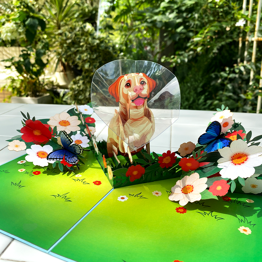 Cone of Shame Funny 3D Pop-Up Dog Get Well Card