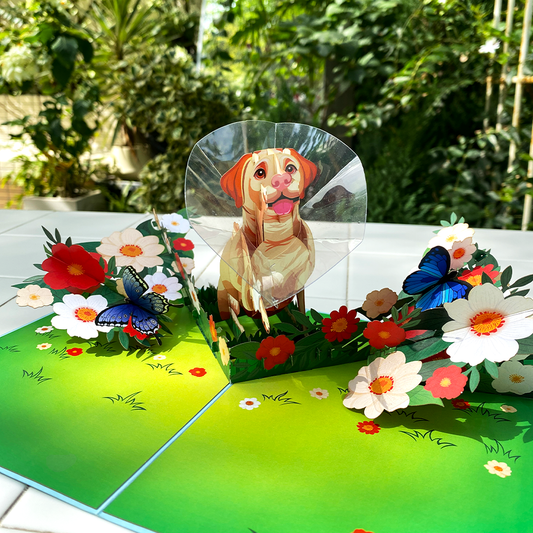 Cone of Shame Funny 3D Pop-Up Dog Get Well Card
