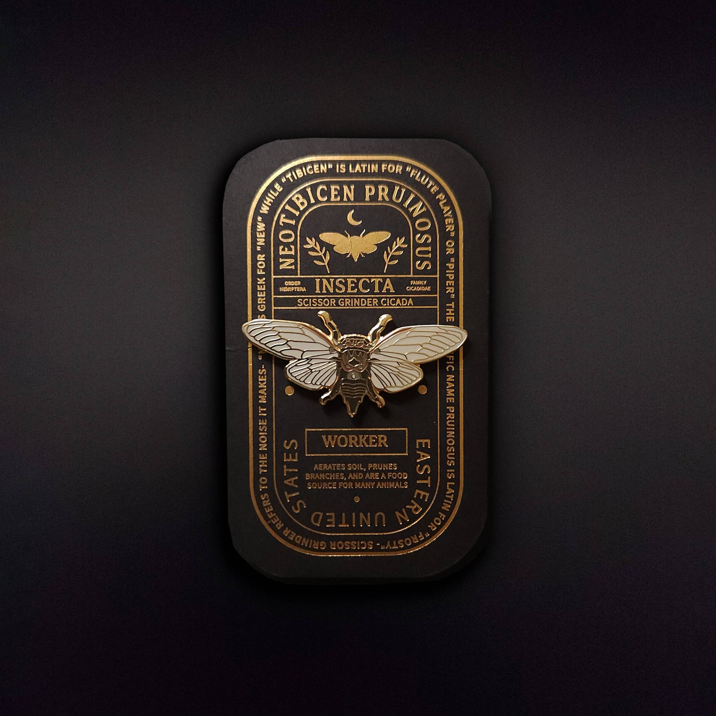 Scissor Grinder Cicada  Educational Insect Enamel Pin