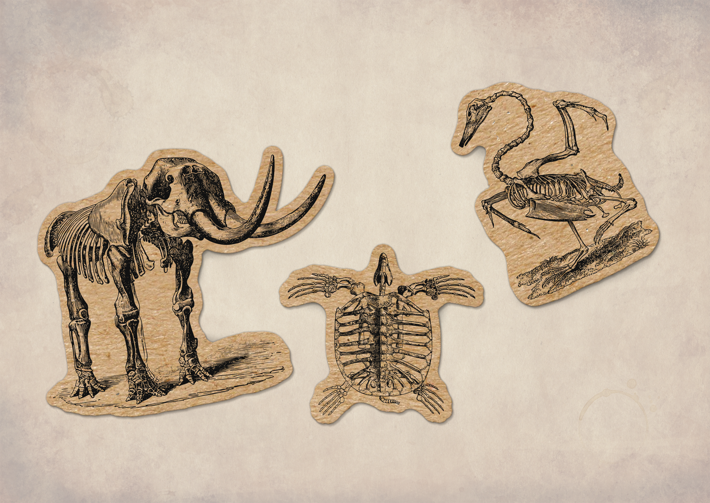 Animal Bones Kraft Paper Sticker Sheet