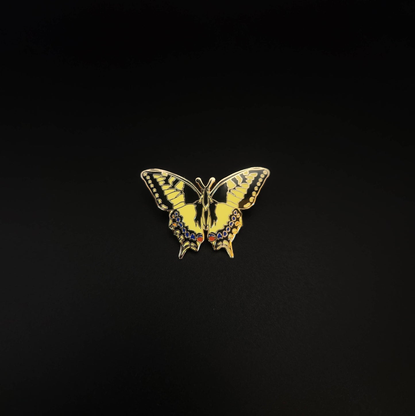 Swallowtail Butterfly Educational Insect Enamel Pin