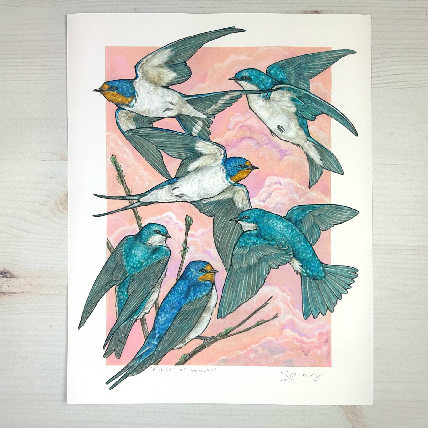 A Flight of Swallows - Archival Print