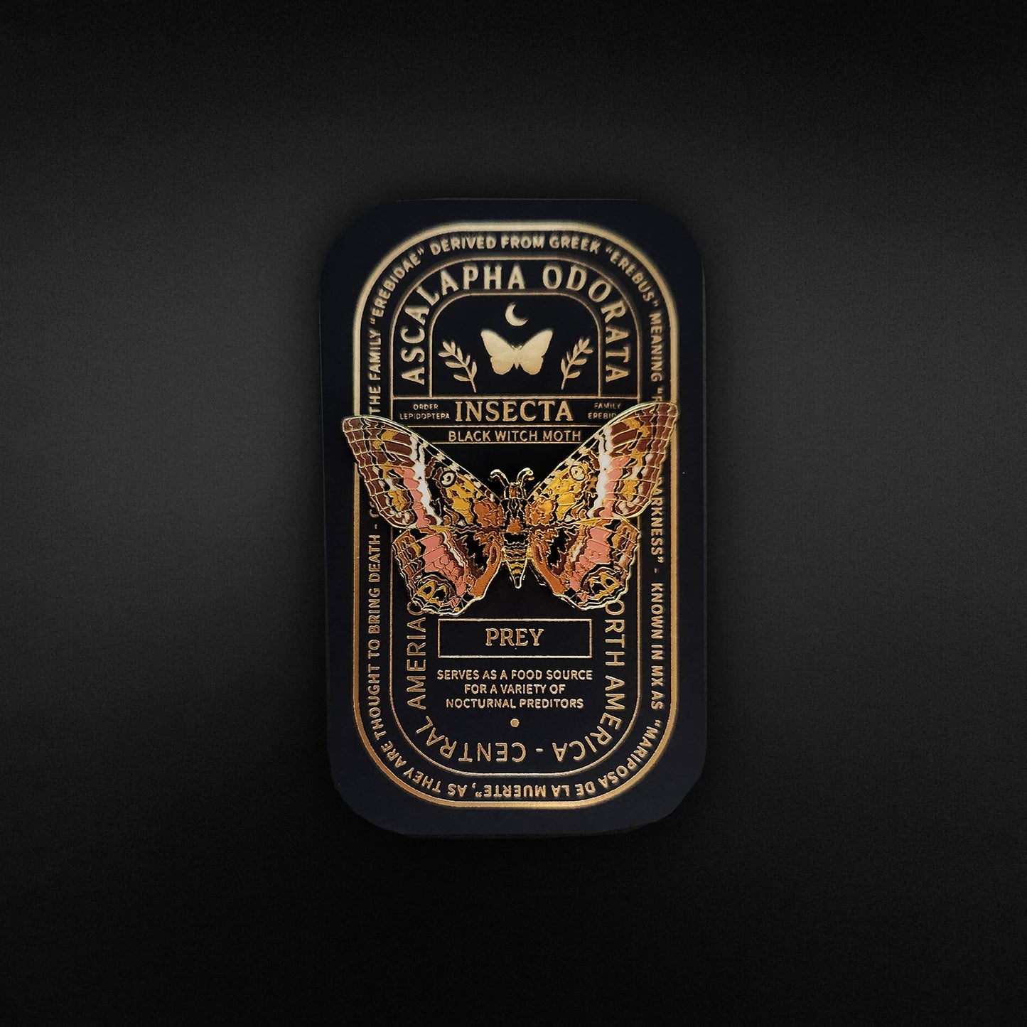 Black Witch Moth Educational Insect Enamel Pin