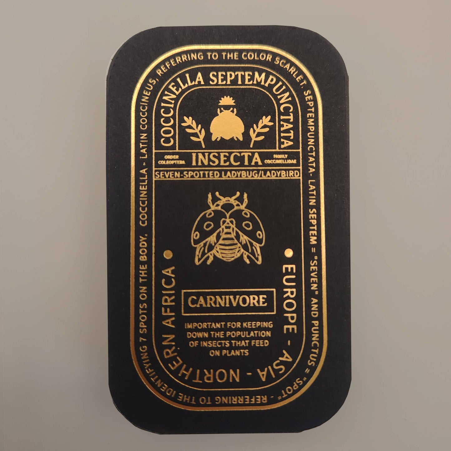 Seven-Spotted Ladybug Educational Insect Enamel Pin